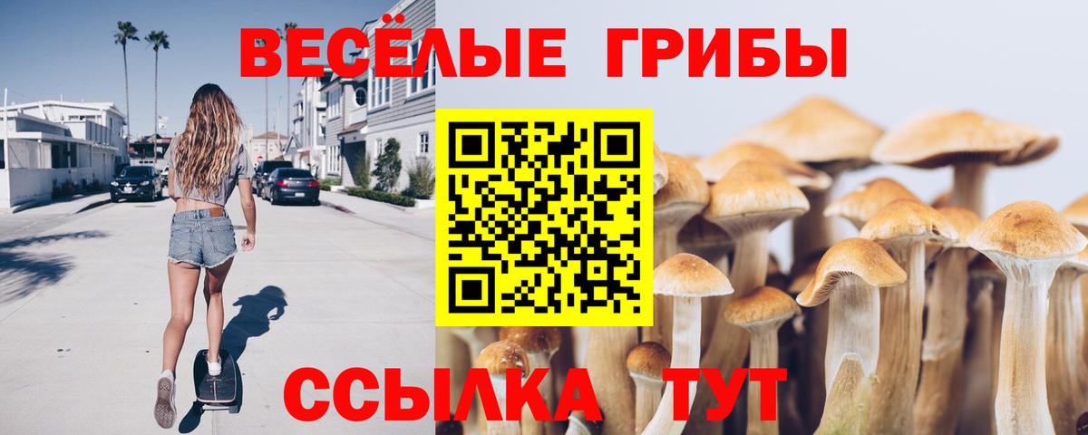 Псилоцибиновые грибы Cubensis  Вход с VPN  Псилоцибиновые грибы Cubensis  Тосно 